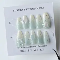 【現品】ネイルチップ ウィッシュコア 夏ネイル