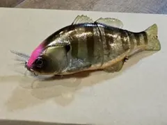 ジャッカル チビタレル 問屋別注限定カラー