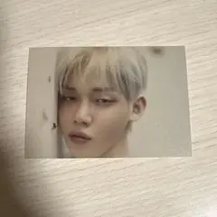 txt ヨンジュン ポストカード