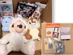 ディズニーストア　ラッキーバッグ　ミッキー　デール　スティッチ ぬいぐるみ