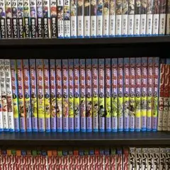 スティール・ボール・ラン 全24巻 完結セット（レンタル落ち） - メルカリ
