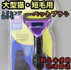 Item thumbnail for item 2821f476-50fa-4a0f-9847-b9900b286028