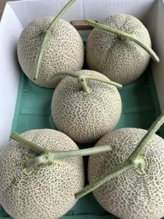 メロン農家直送　5玉入り　糖度は十分ありますのサムネイル