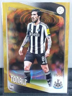 Item thumbnail for item 07bd967d-3799-4c76-8df8-8389eb1e43de