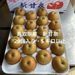 秀品❗️贈答　新甘泉　５キロ×3箱　15キロ 秀品❗️贈答 新甘泉 5キロ×3箱 15キロ - メルカリ
