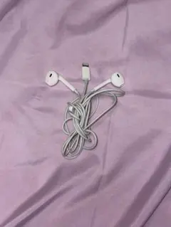 Apple有線イヤホン