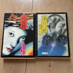 横溝正史 角川文庫 小説 2冊セット　40年位前の本ですのサムネイル