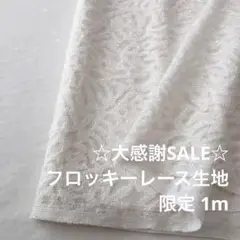 2FL/5059◆1m 感謝祭/限定/ポリレーヨン混フロッキーレース生地