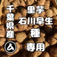 2026年最新】里芋の種芋Sサイズの人気アイテム - メルカリ