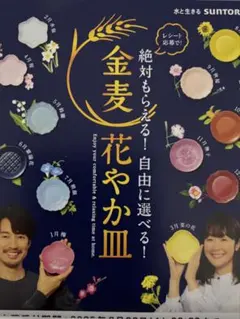 金麦花やか皿　2枚セット