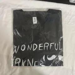 WONDERFUL Tシャツ ブラック Lサイズ