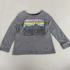 ⭐️値下げ中⭐️Patagonia 長袖カットソー グレー