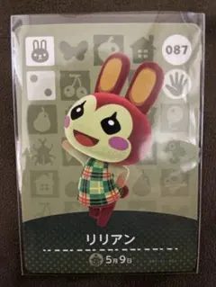 2025年最新】amiibo カード リリアンの人気アイテム - メルカリ