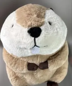 2026年最新】むっちりビーバーの人気アイテム - メルカリ