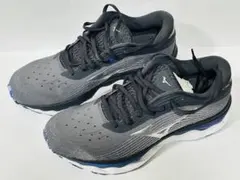 Item thumbnail for item d722b836-5dcf-42b2-93e0-a78aeaf8fbf6