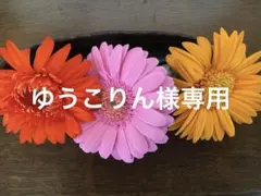 専用