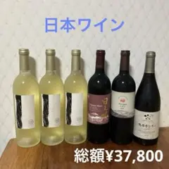 店頭未販売】ヴァルオージャパン 幻のワイン 2021 5本セット - メルカリ