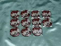 ギヴン展 ENCORE キャラバッジ 缶バッジ 真冬 11点