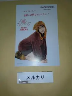 Item thumbnail for item 0414052b-5b7e-43f9-8000-e077600a35ae