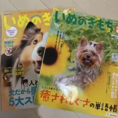 Item thumbnail for item a8b94785-3eae-4bee-a92b-3011603fee4d