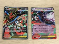 メガフラエッテex SR / メガフラエッテex RRのサムネイル