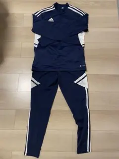 Item thumbnail for item 8eb27ea3-08cf-4526-939e-3a4b96a12f83