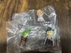 ワンピの実　キャベンディッシュ　バルトロメオ　　ステューシー　セット