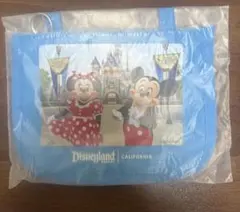 ディズニーパスポートポーチ