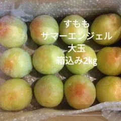 10.大玉　秀品　すもも　サマーエンジェル　箱込み2㎏のサムネイル