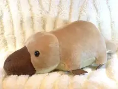 アニマルパーク　ぬいぐるみ　かものはし