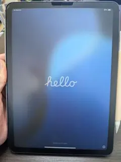 ipad air 第四世代本体セルラー64GB グレー純正ペンシル、ケース向き