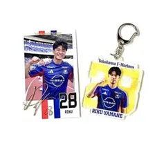 石川真佑】Vリーグ シーズン得点日本記録記念 アクリルスタンド 