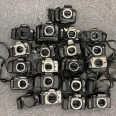 ジャンク Nikon F 801 フィルム一眼レフカメラ 本体 3台セット - メルカリ