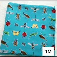 昆虫　オックス　100cm　男の子