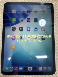 iPad Pro 11 第3世代 256 GB シルバーMHQV3J/Aのサムネイル