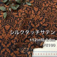 Item thumbnail for item dcaad87b-caeb-4754-96a5-4257930f6518