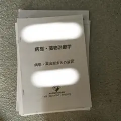 Item thumbnail for item 16624481-9ac3-498e-8b16-7a79c79b64d4