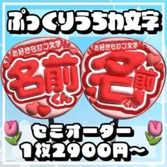 【ぷっくりうちわ文字セミオーダー】ファンサうちわ　団扇文字　名前　応援グッズ