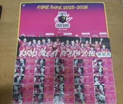 도쿄 그레이트 베어스 그레베어 하리센 2 카드 세트
