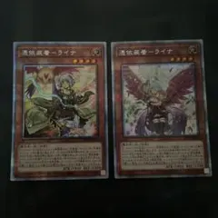 巨怪の怒り+精鋭射手団の目立ちたがり PWSプロモ 2枚セット - メルカリ