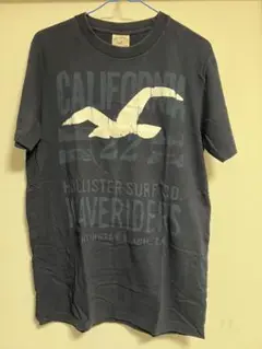Hollister カリフォルニアシーガルTシャツ Mサイズ