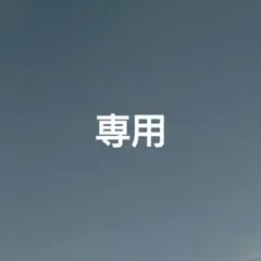 専用