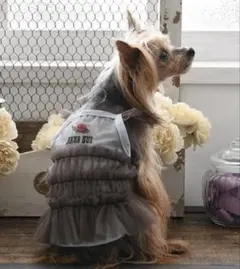 ANNA SUI フリル付きドレス 小型犬用　DMサイズ