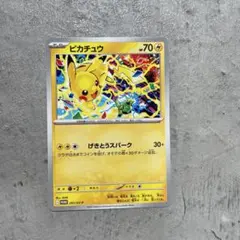 sgo様 リクエスト 2点 まとめ商品