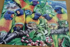 Ravensburger 1000ピース ジグソーパズル オウムのサムネイル