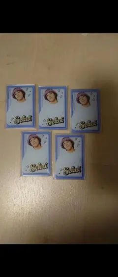 FANTASTICS FCロト E賞 世界 5枚セット