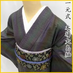 本場縞大島紬 付下げ 訪問着 染分け 美品イ5840 本場大島紬 着物 袷 訪問着 縞大島 湯谷文雄 落款有り 黒こげ茶