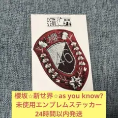 2026年最新】櫻坂46 新せ界 エンブレムの人気アイテム - メルカリ