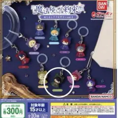 魔法使いの約束 グッズまとめ売り TVアニメ『魔法使いの約束』より公式イラストを使用した新作