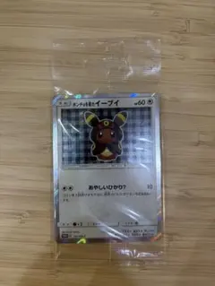 ポンチョを着たイーブイ（ブラッキー） PROMO SM-Pプロモカード 141/SM